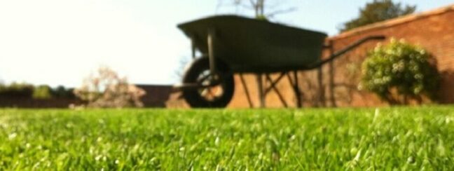 A wheelbarrow in a walled garden