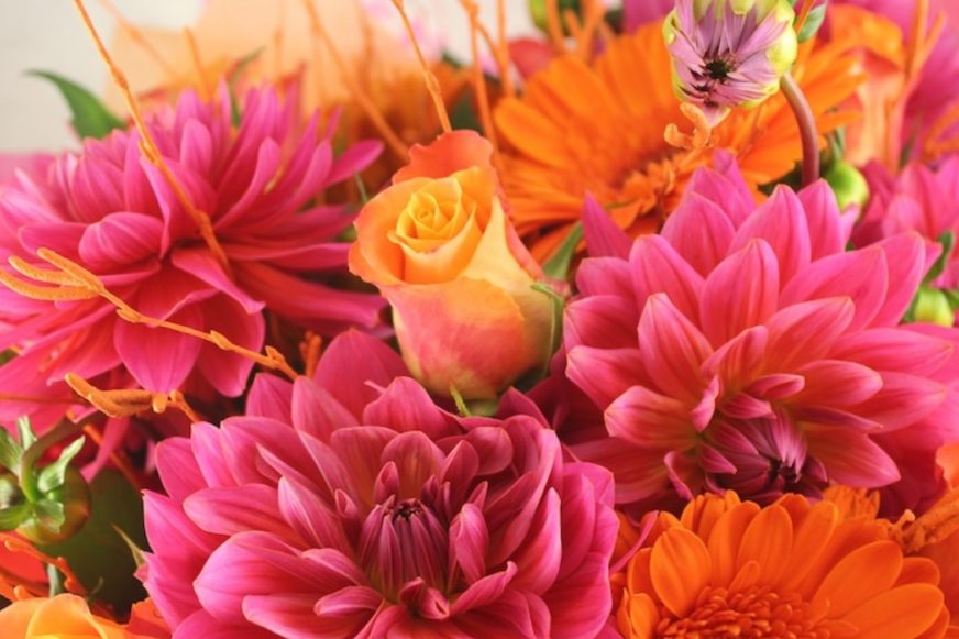 Various blooms